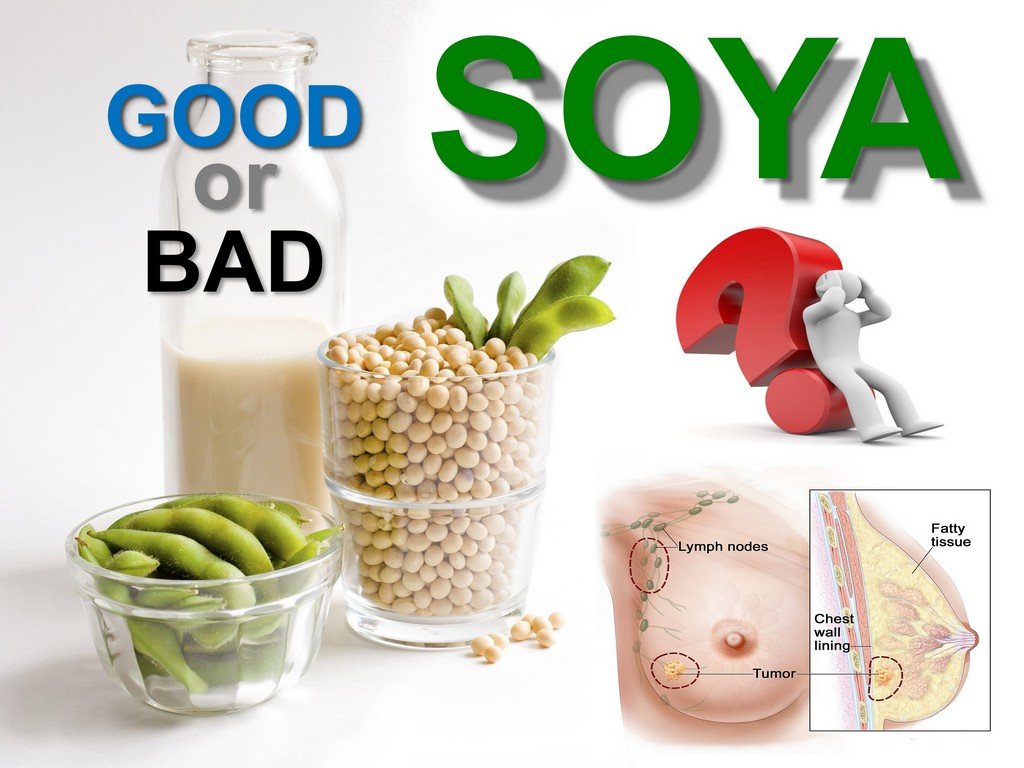Soya and Breast Cancer (Truth)